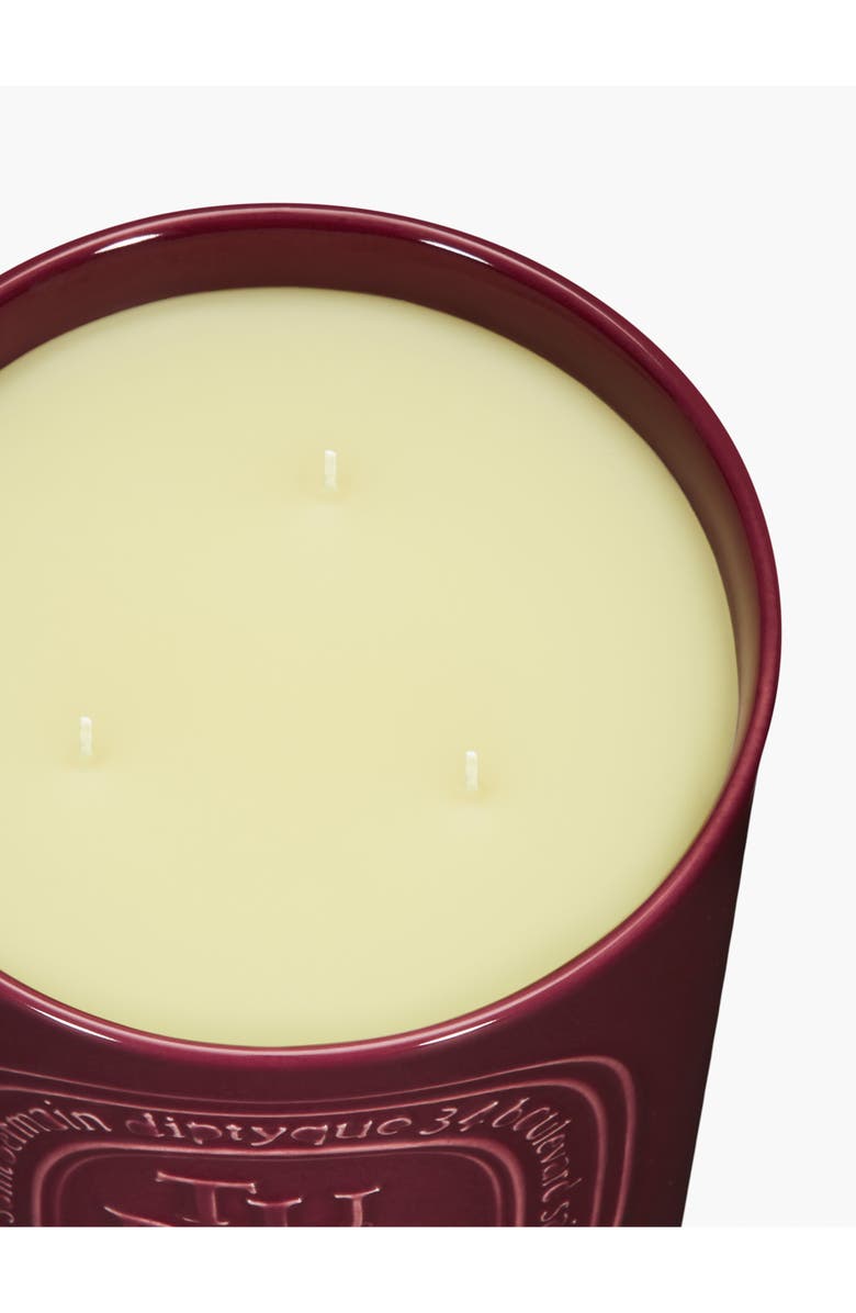 Diptyque Tubéreuse (Tuberose) Large Scented Candle, Alternate, color, Red Vessel