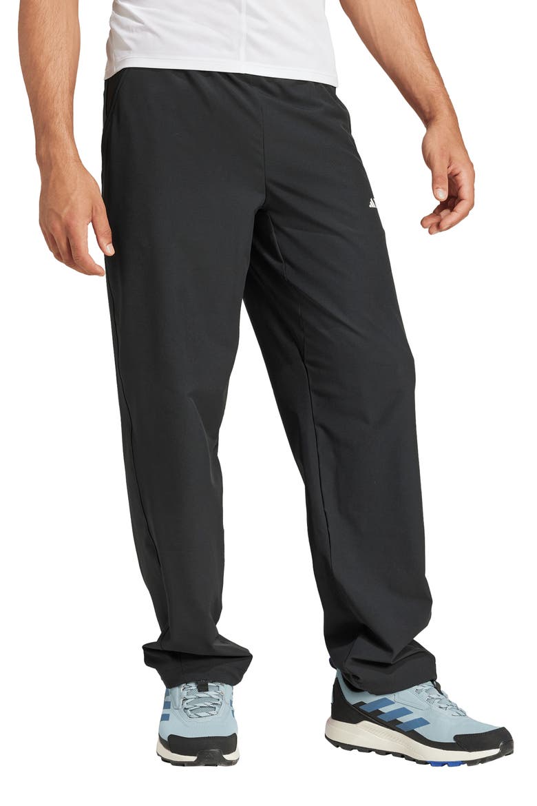 Terrex Liteflex Hiking Pants, Alternate, color, BLACK