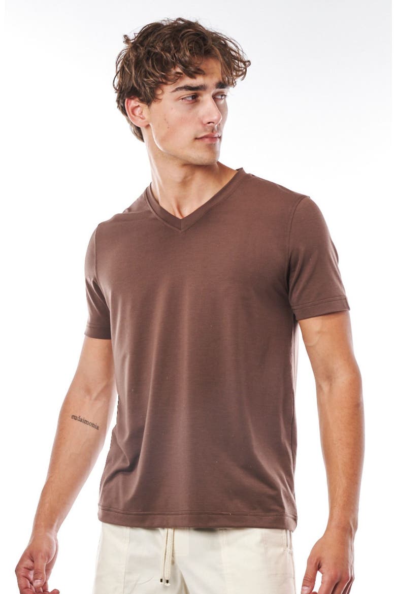 Everyday V-Neck, Alternate, color, Café