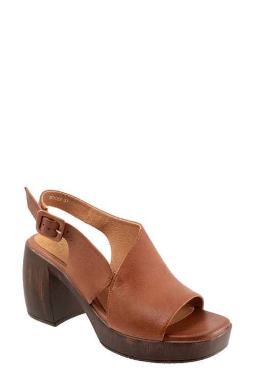 Shop Eos Footwear Spicer Slingback Platform Sandal In Brandy