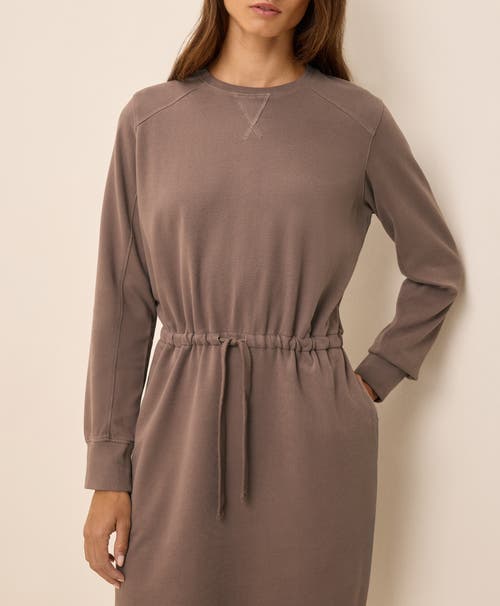 Pact Organic Cotton Cloudknit Sweatshirt Dress In Brown