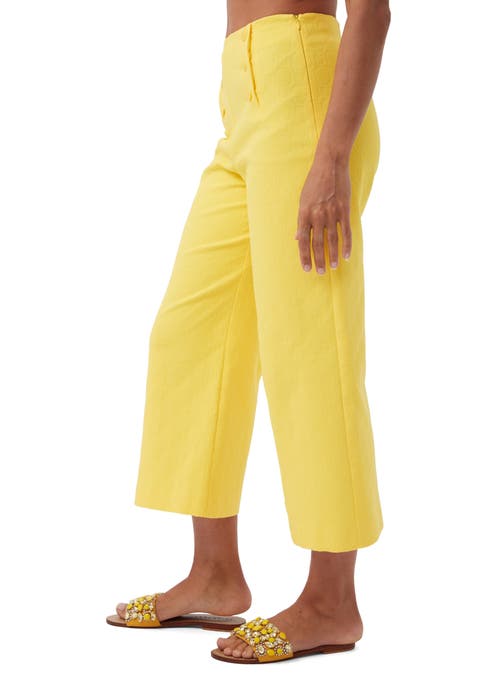 Trina Turk Saltie 2 Cropped Wide Leg Pant In Lavandou Lemon