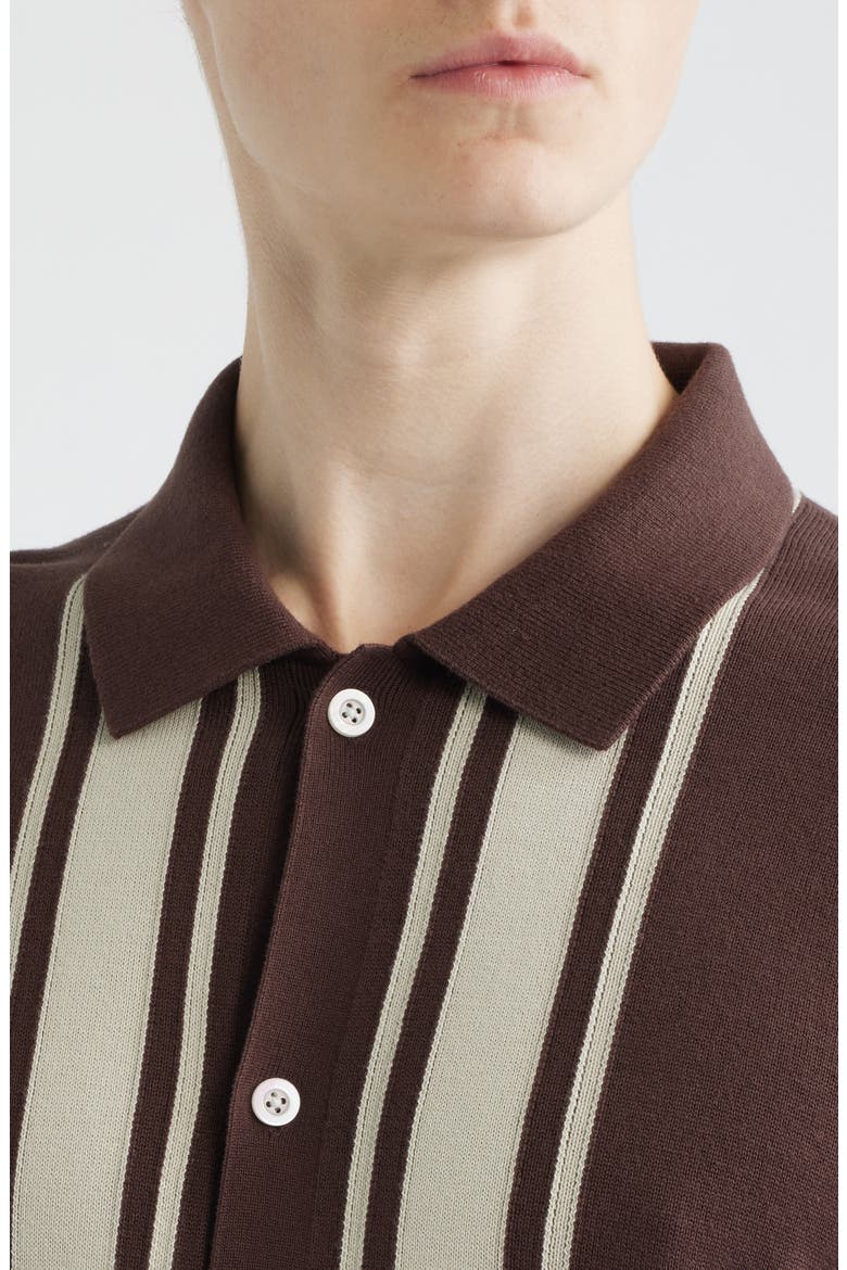 Border Stripe Short Sleeve Cotton Sweater Shirt, Alternate, color, RUM RAISIN