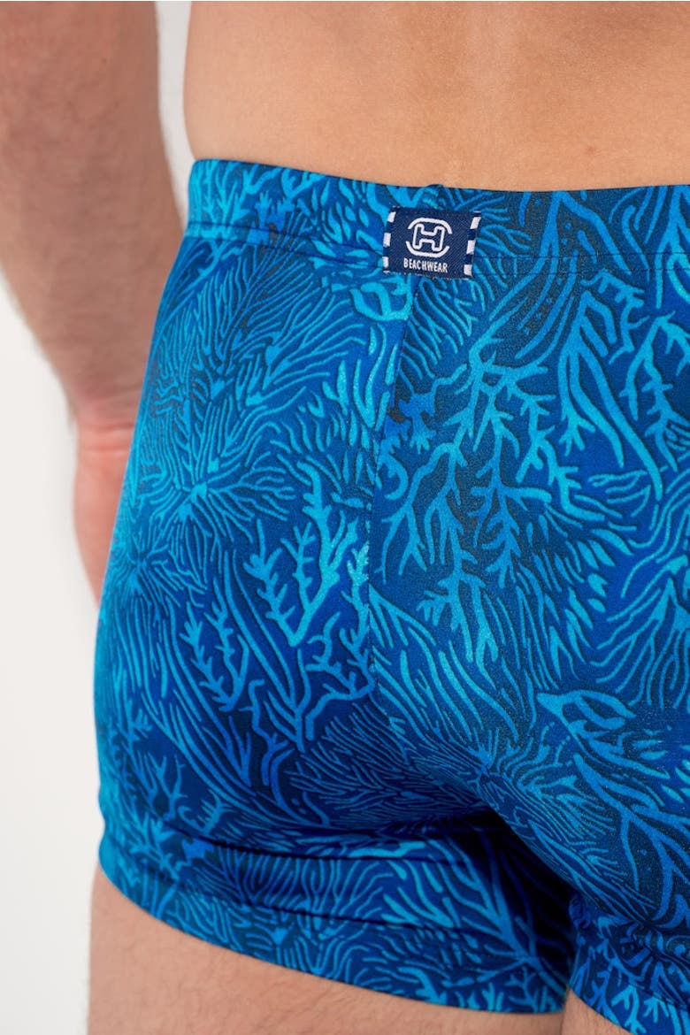 Panarea Swim Shorts, Alternate, color, Blue Print