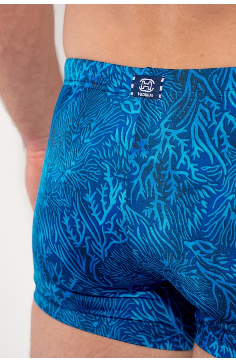 HOM Panarea Swim Shorts, Alternate, color, Blue Print