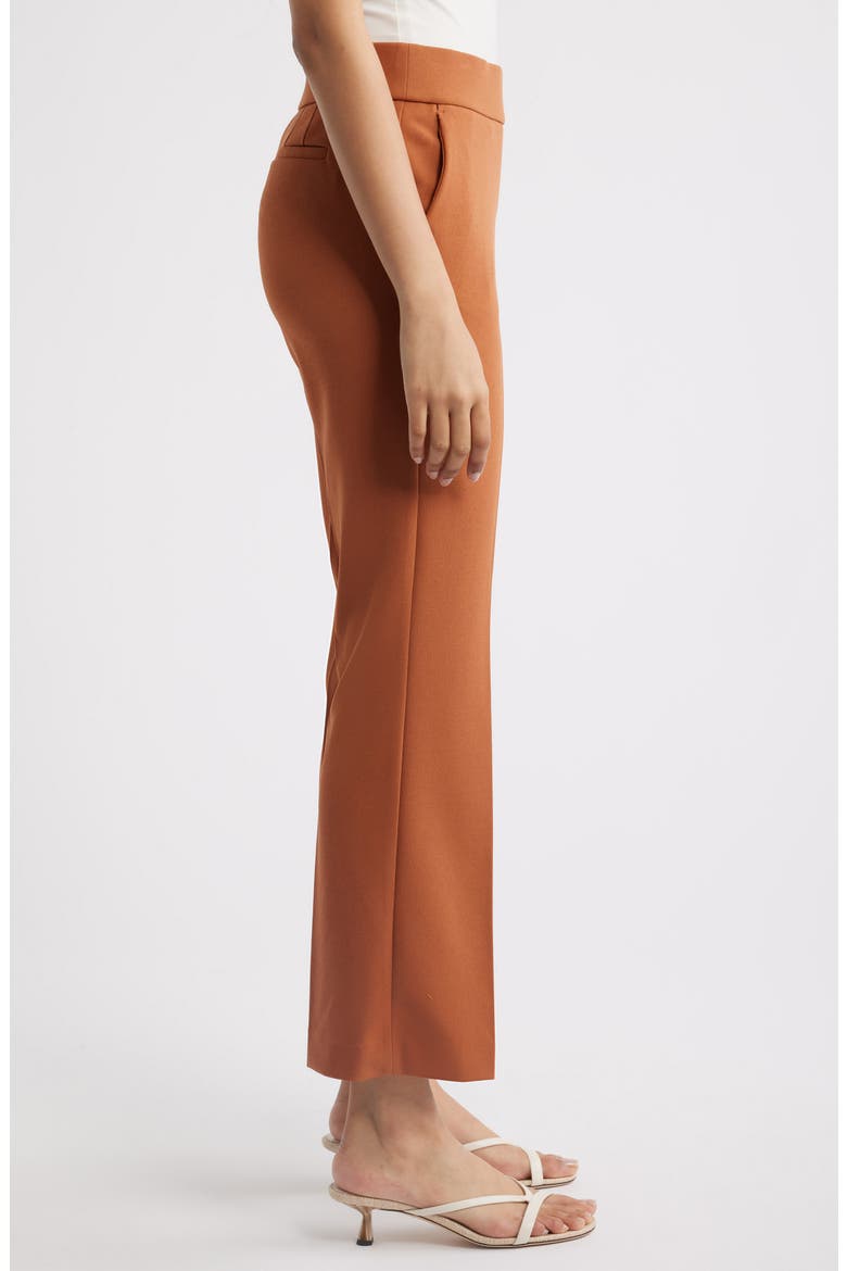 Pull-On Ankle Pants, Alternate, color, CEDAR SPICE