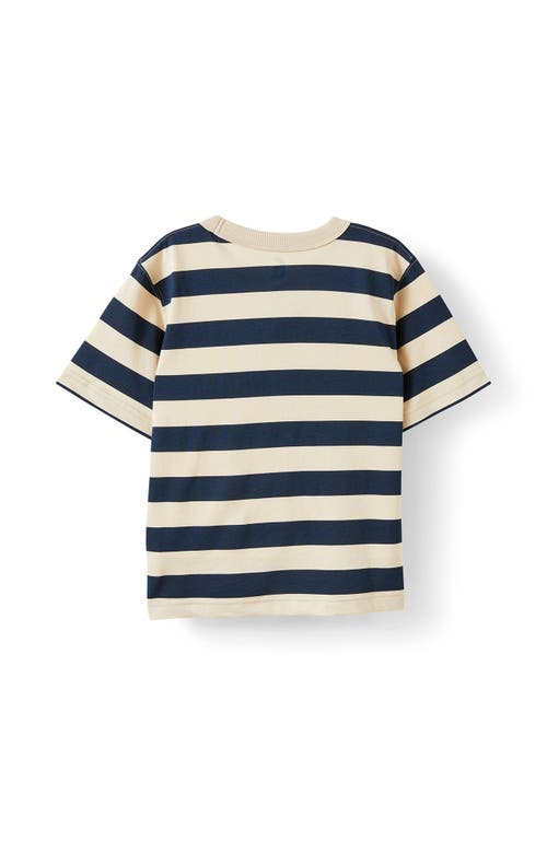 Cotton On Kids Kid's Jonny Short Sleeve Graphic Print Tee In Multi