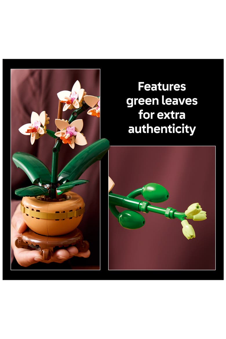 18+ Botanicals™ Mini Orchid - 10343, Alternate, color, MULTI