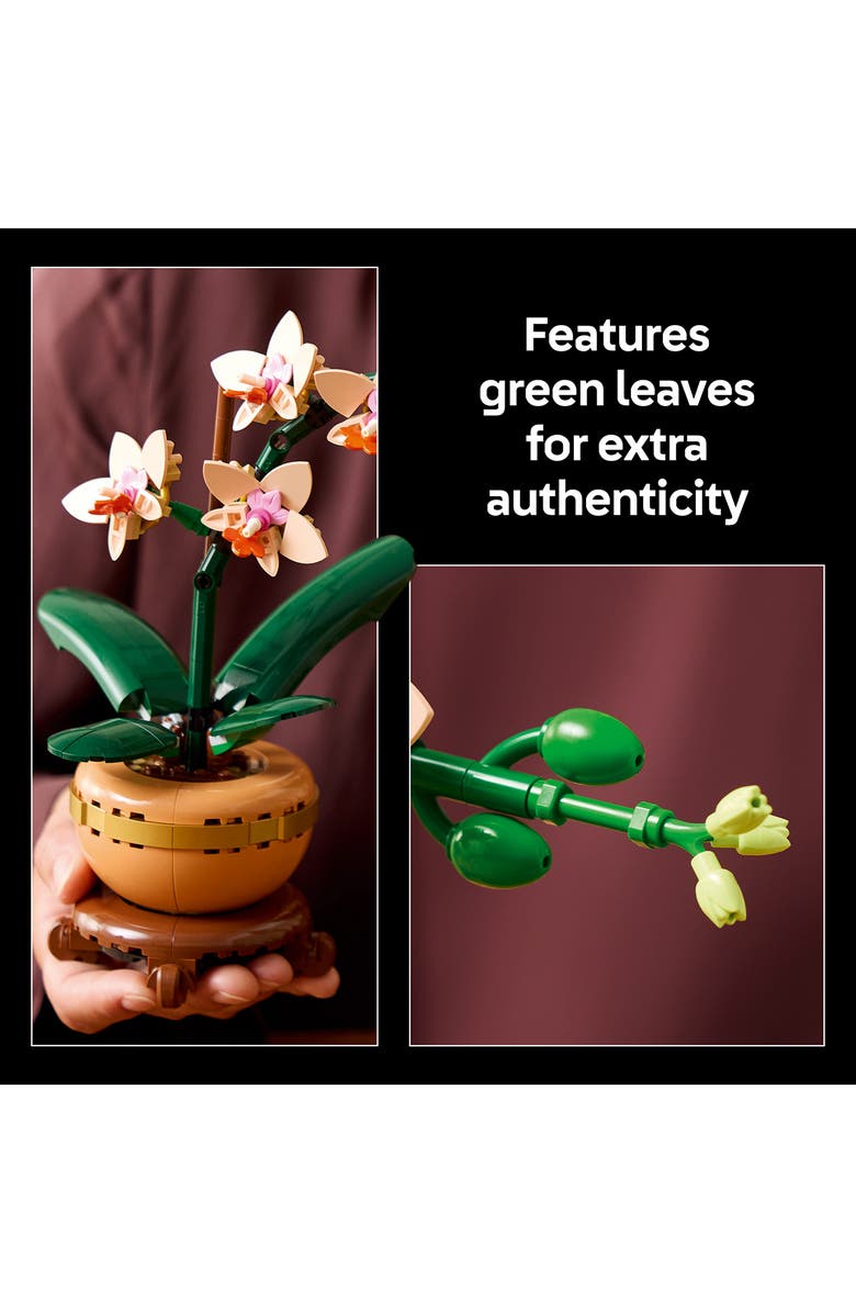 LEGO<sup>®</sup> 18+ Botanicals<sup>™</sup> Mini Orchid - 10343, Alternate, color, 