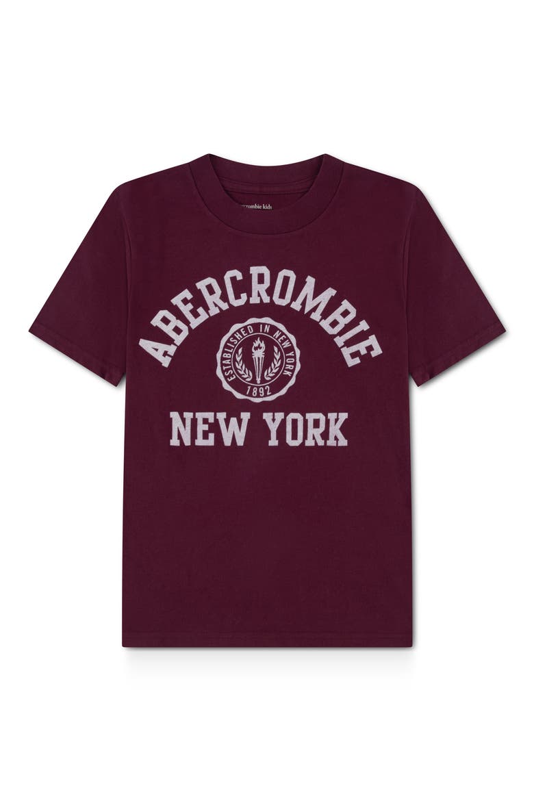 Kids' Y2K Crest Graphic T-Shirt, Main, color, FIG