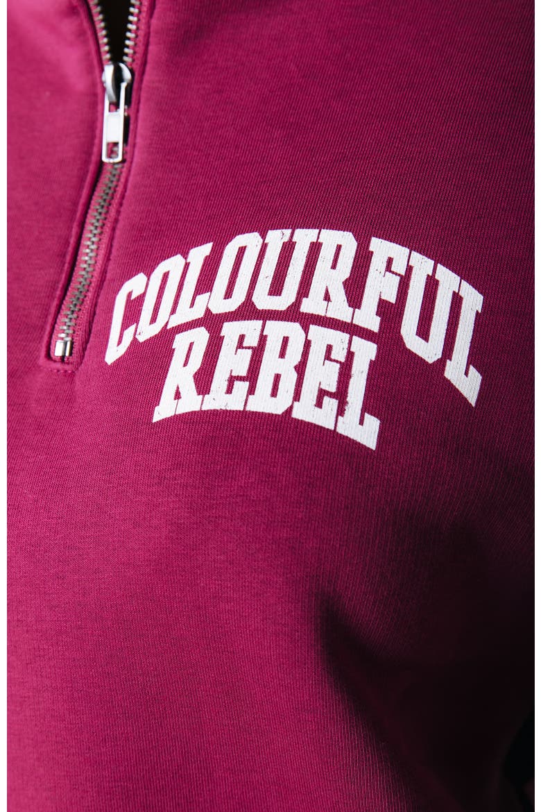 Varsity Logo Relaxed Zip Sweat, Alternate, color, Bordeaux