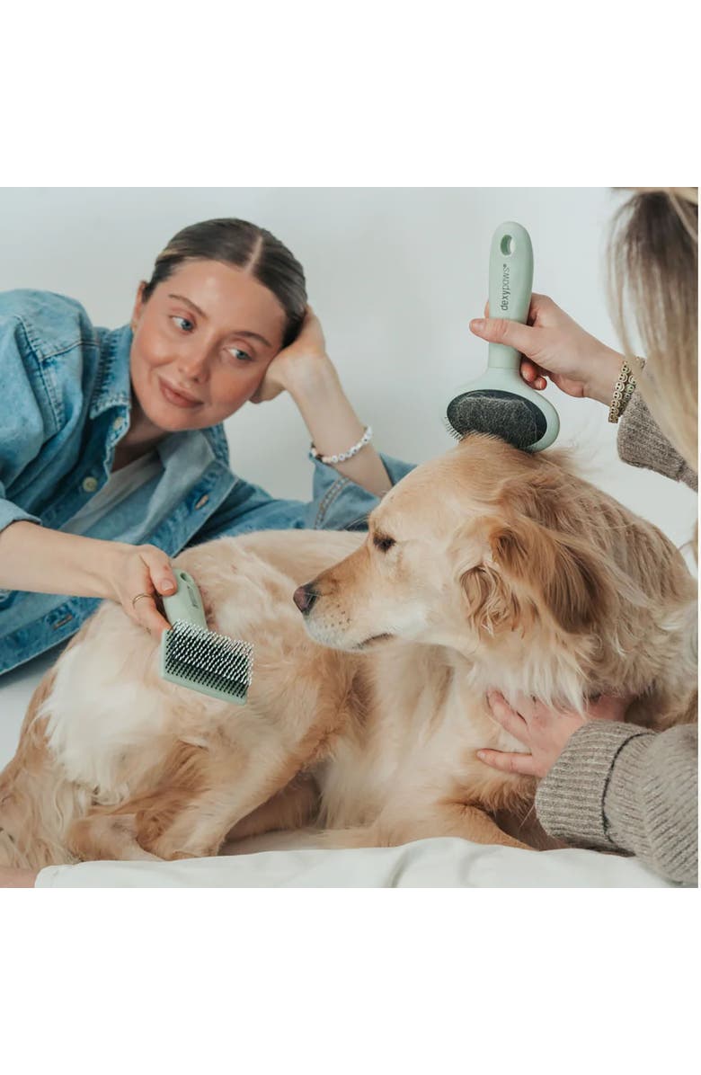 Dexypaws Slicker Brush, Small, Sage Green, Dog & Cat Grooming Tool, Alternate, color, Green