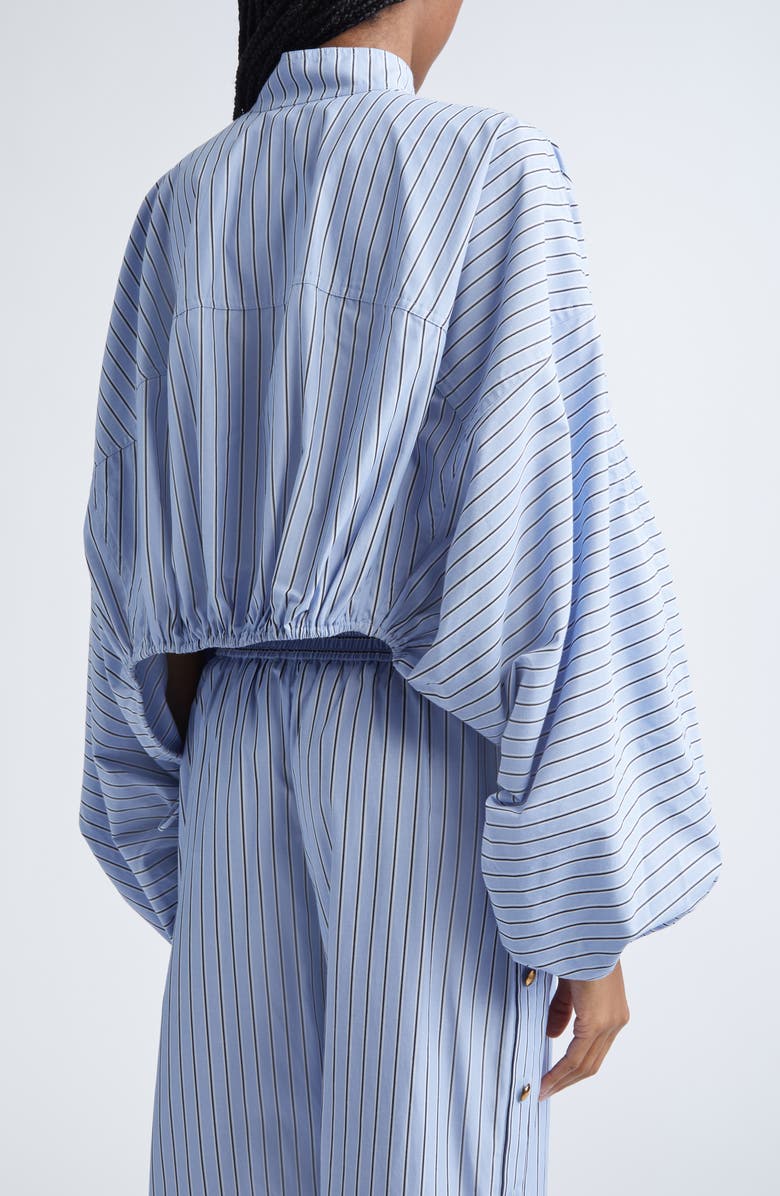 Zimmermann Stripe Poplin Crop Top, Alternate, color, Hydrangea Stripe