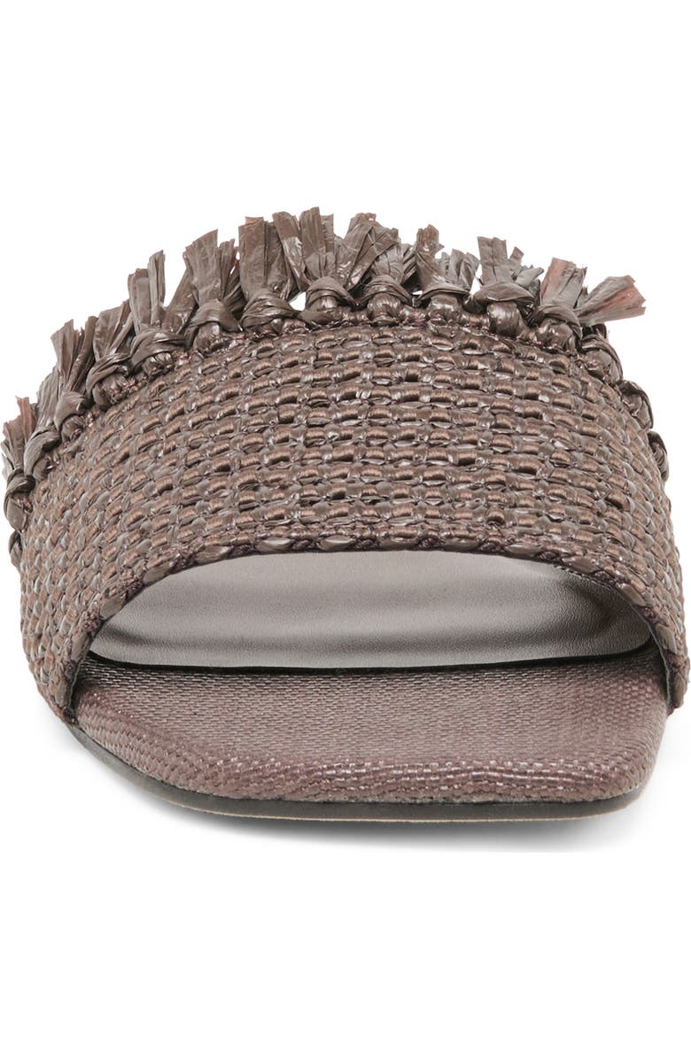 Dolce Vita Lenya Slide Sandal, Alternate, color, Chocolate Raffia