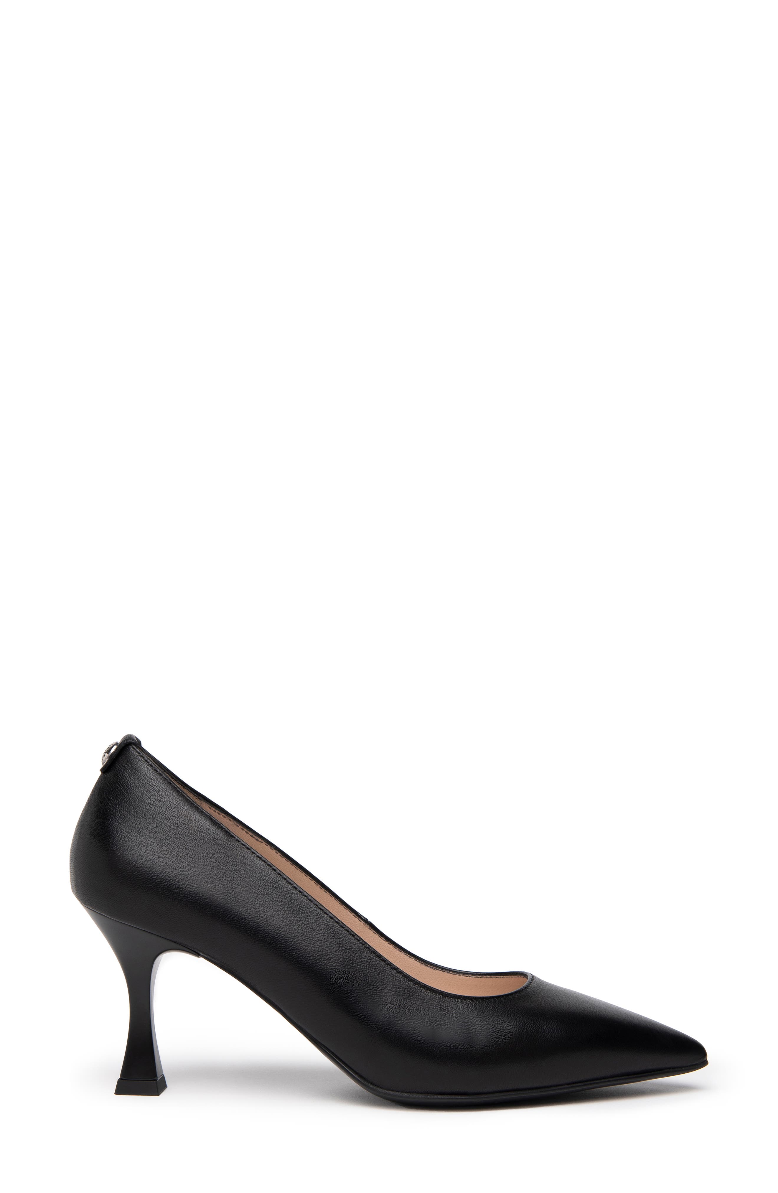 NeroGiardini Pointed Toe Pump, Alternate, color, 