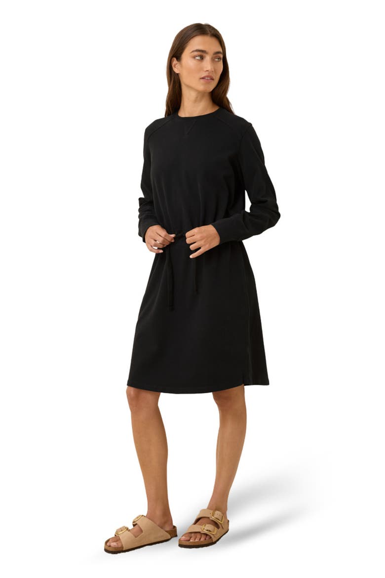Organic Cotton CloudKnit Sweatshirt Dress, Alternate, color, Black