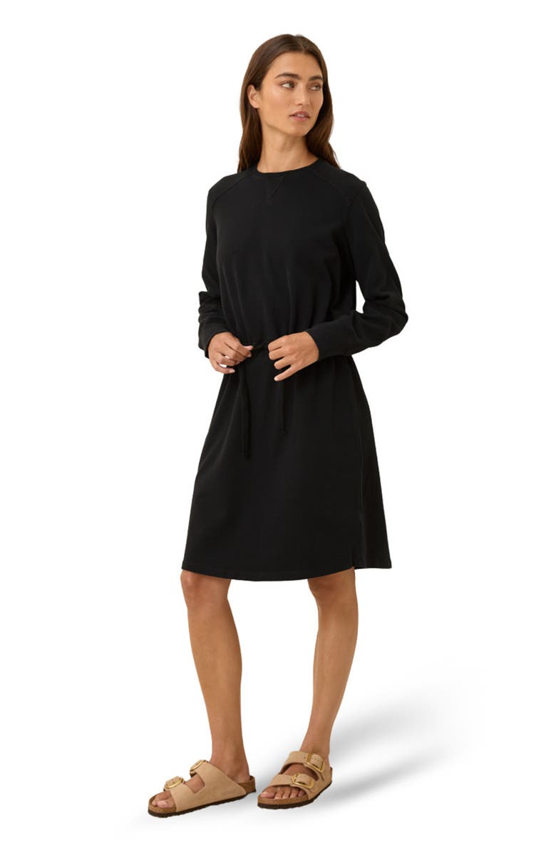 Pact Organic Cotton CloudKnit Sweatshirt Dress, Alternate, color, Black