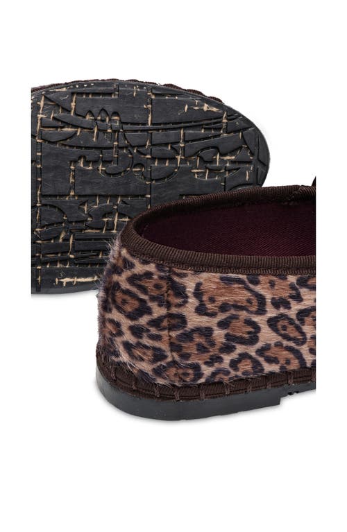 Flabelus Pierre Mary Jane Flat In Brown