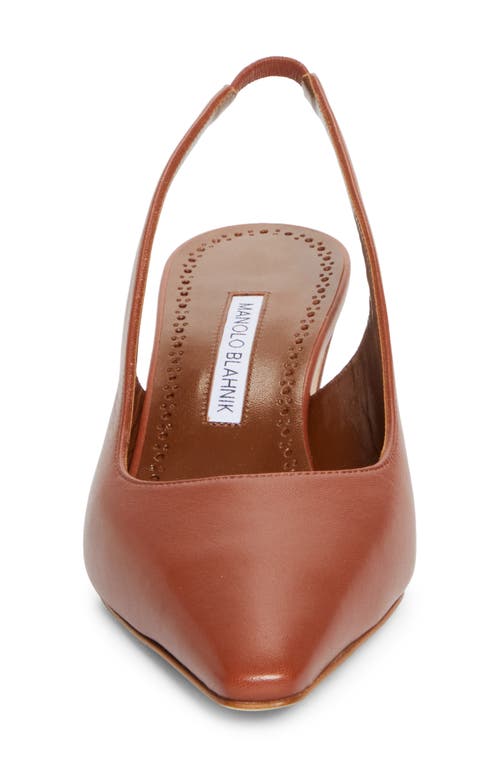 Manolo Blahnik Teutamospla Slingback Pump