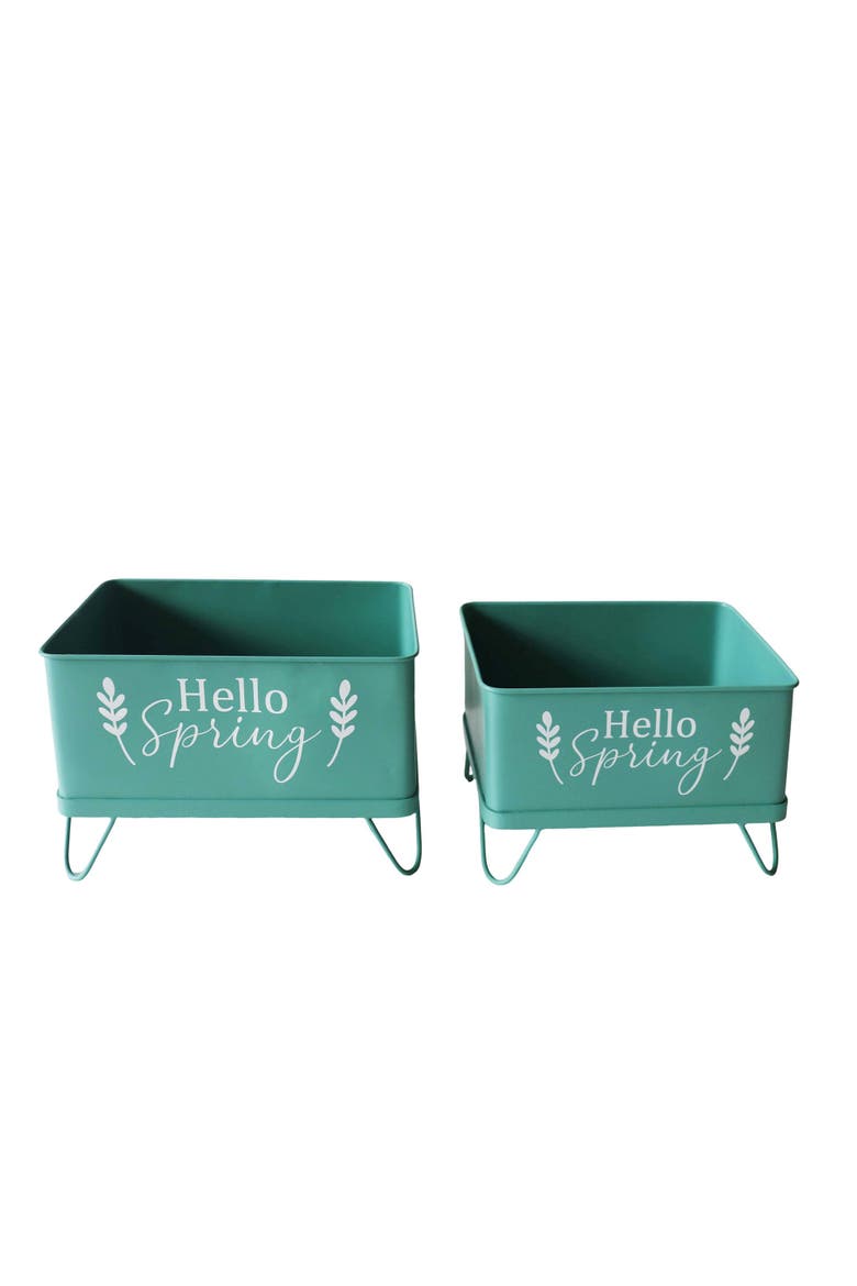 Flower Box with Hair Pin Legs Set of 2, Main, color, Green