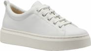 ABEO Jumpstreet Bungee Sneaker