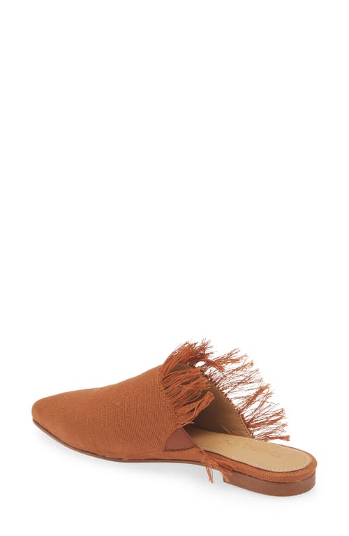 Shekudo Lokossa Frayed Pointed Toe Mule In Burnt Orange