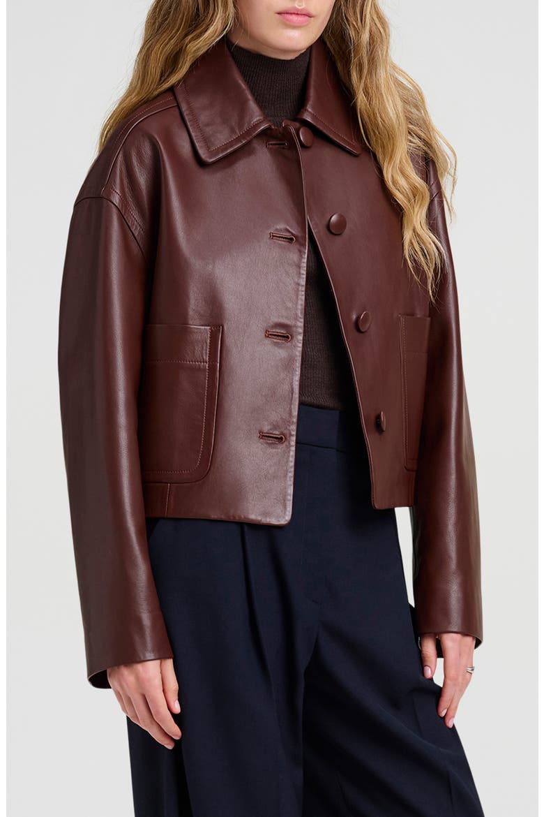 Brooks Leather Jacket, Alternate, color, MILK CHOCOLATE