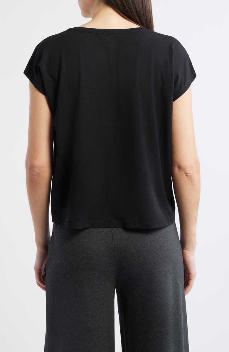 Eileen Fisher V-Neck Boxy T-Shirt, Alternate, color, Black