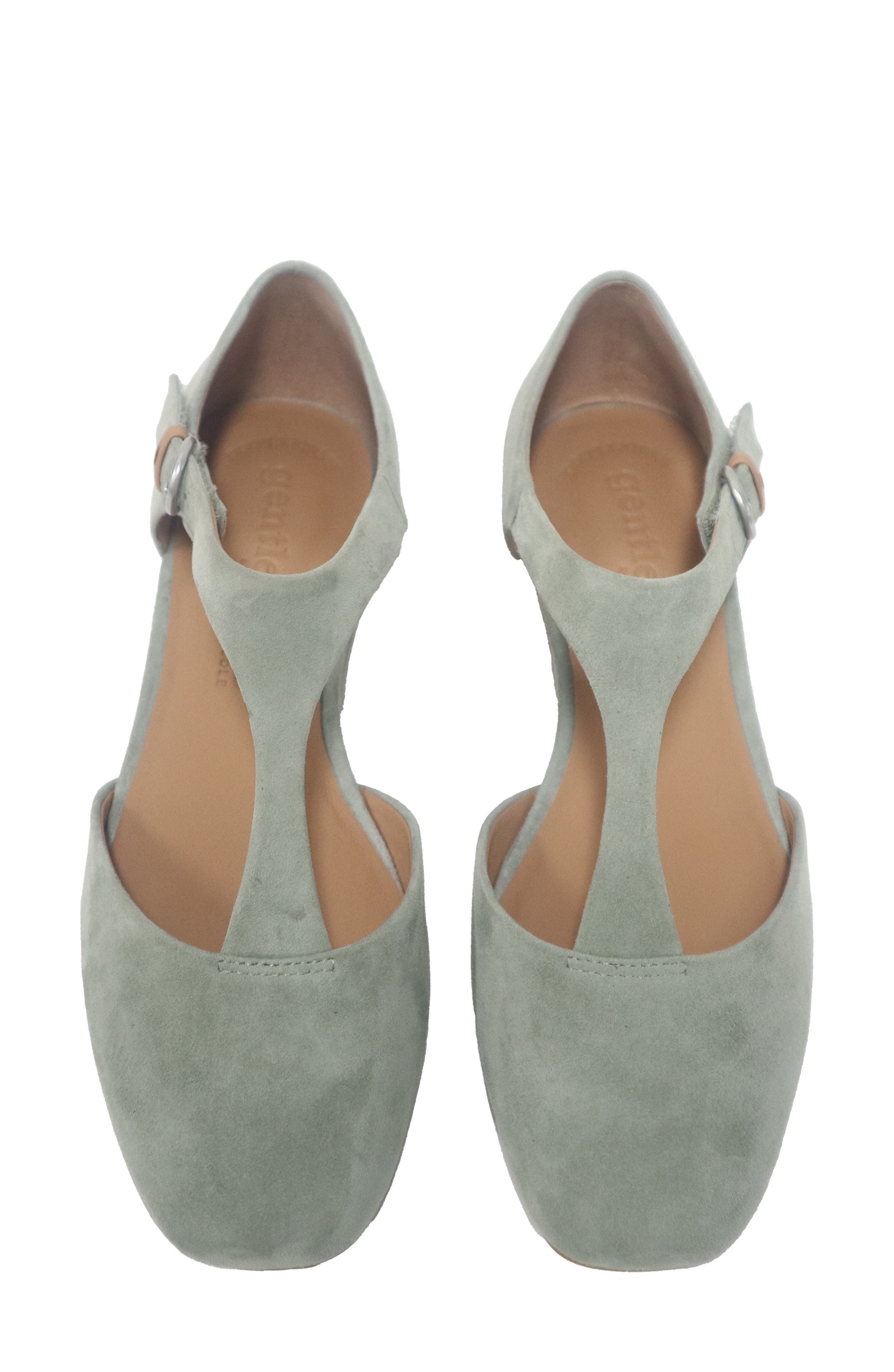 Wyatt T-Strap Flat, Alternate, color, SAGE SUEDE