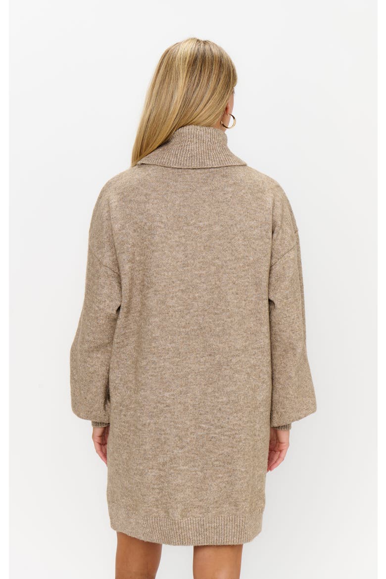 Chester Sweater Dress, Alternate, color, Oatmeal Knit