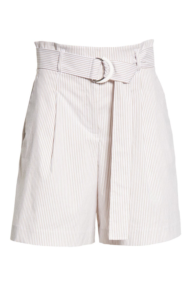Degraw Stripe Pleated Shorts, Alternate, color, SMOKED TAUPE MULTI
