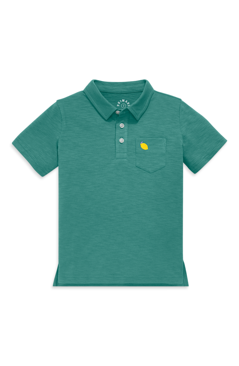 Primary Kids Embroidered Polo, Main, color, Sunwashed Teal