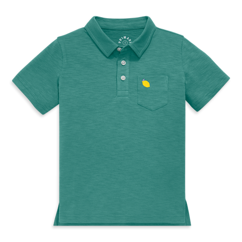 Kids Embroidered Polo (Toddler, Little Kid, & Big Kid)
