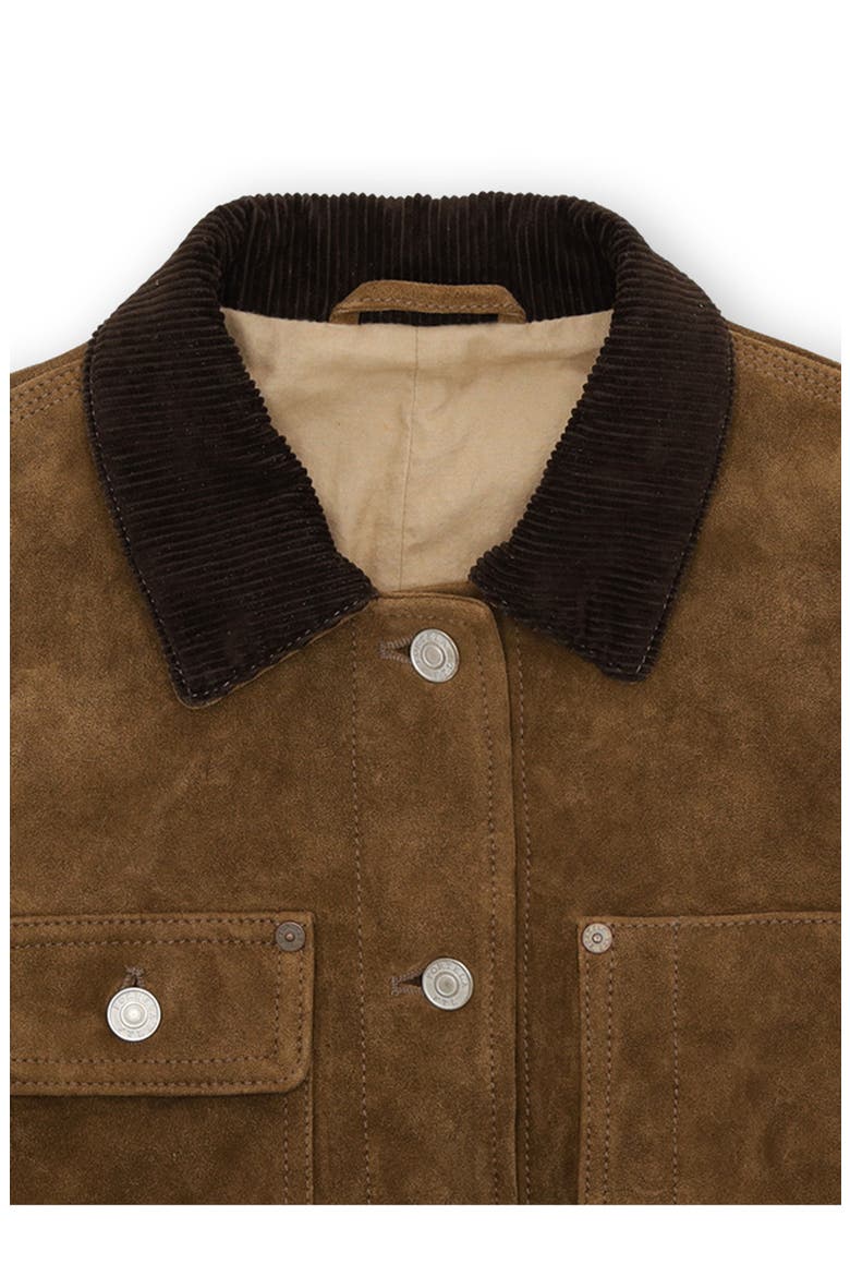 Fedra Suede Leather Jacket, Alternate, color, BROWN
