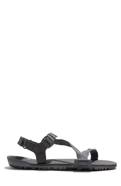 Xero Shoes Z-trail Ev Barefoot Hiking/running Sandal In Gray