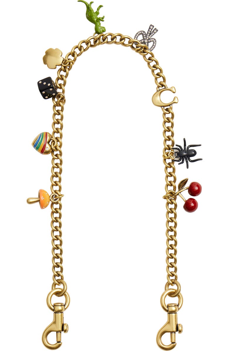 COACH Chain Strap with Charms, Main, color,