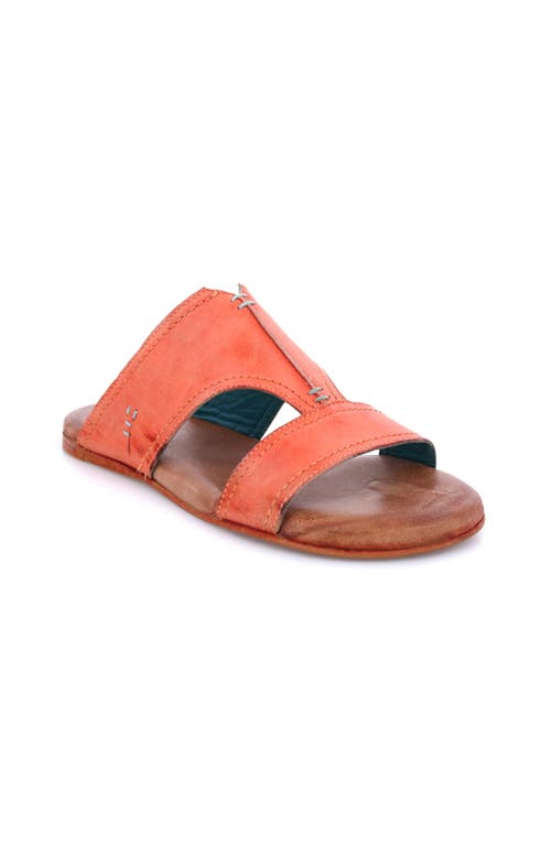 Roan Somerville Sandal In Multi