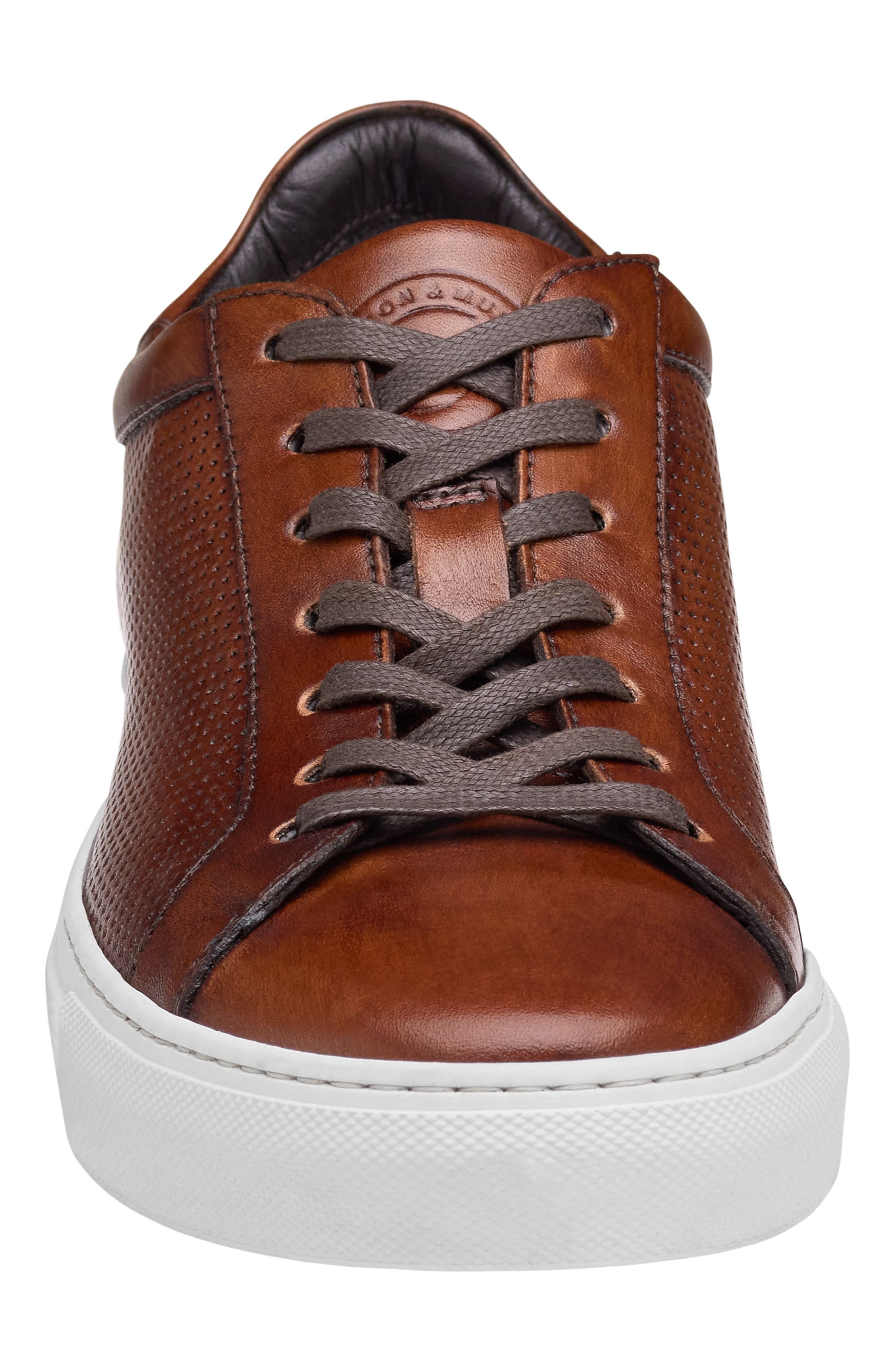 JOHNSTON & MURPHY COLLECTION Johnston & Murphy Jake Perforated Lace to Toe Water Resistant Sneaker, Alternate, color, 