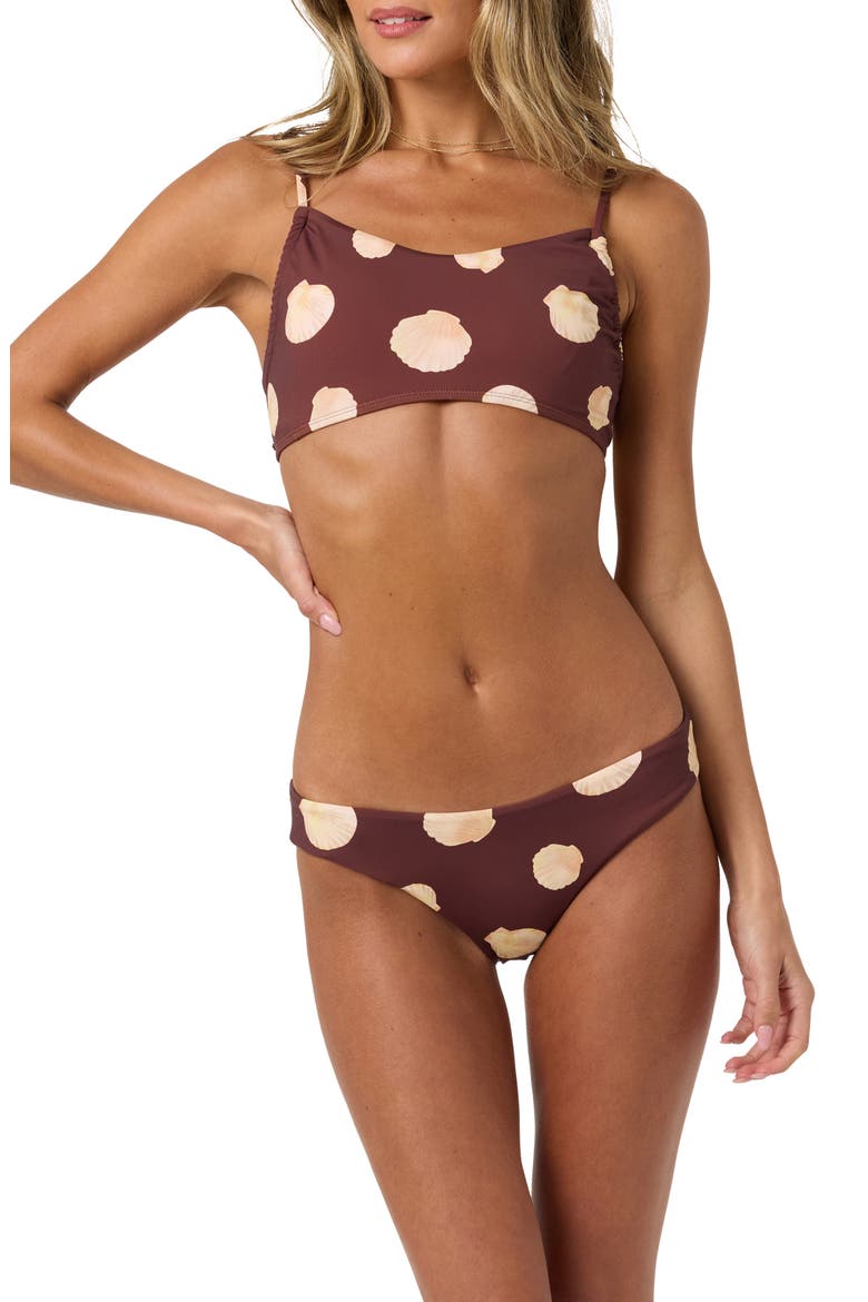 Camila Shells Lagoon Bikini Bottoms, Alternate, color, CHOCOLATE