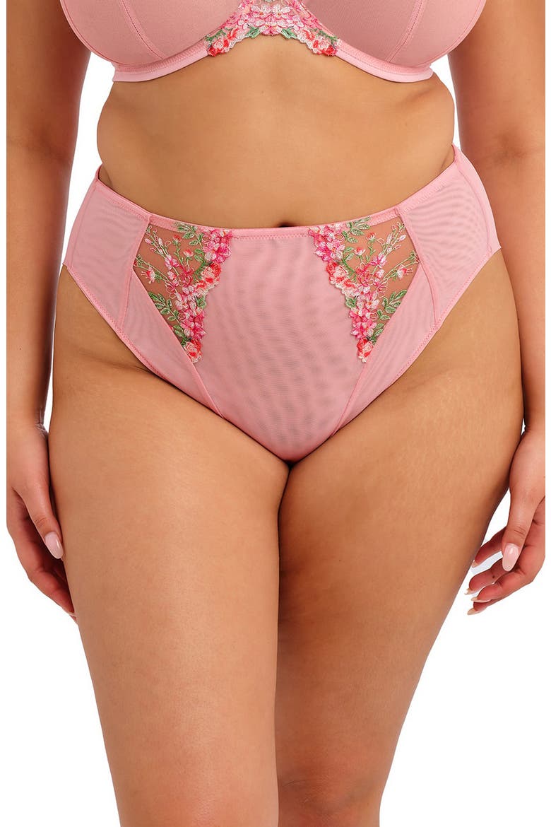 Aerith Embroidered Briefs, Main, color, ROSE