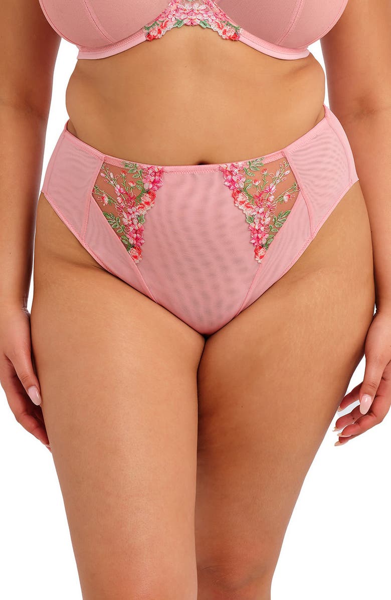 Elomi Aerith Embroidered Briefs, Main, color, Rose