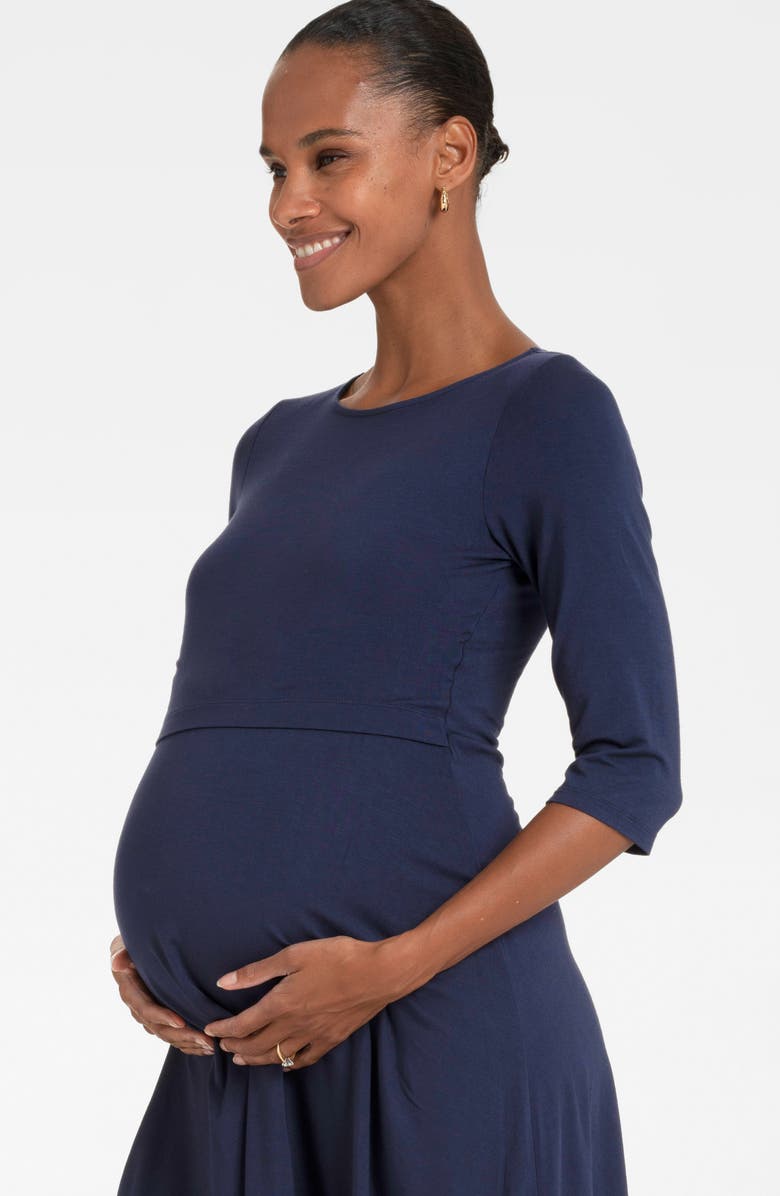Seraphine Assorted 2-Pack A-Line Maternity/Nursing Dresses, Alternate, color,