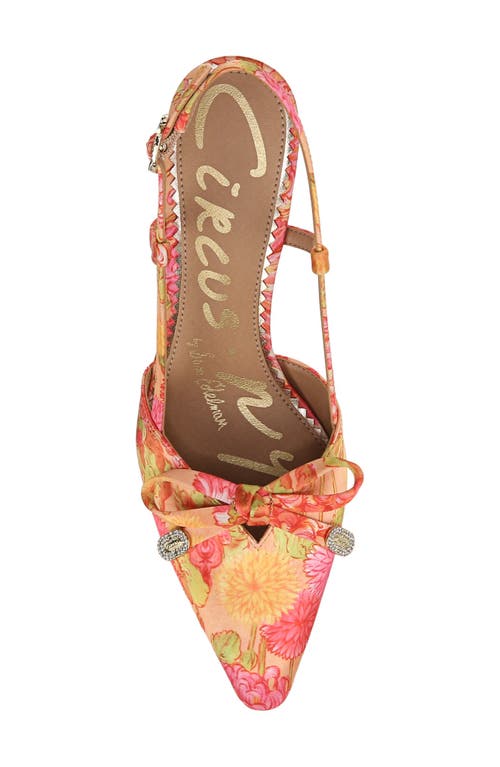 CIRCUS NY BY SAM EDELMAN CIRCUS NY BY SAM EDELMAN MONICA POINTED TOE SLINGBACK PUMP