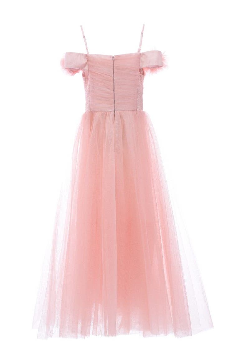 Lilo Floral Tulle Gown, Alternate, color, Pink