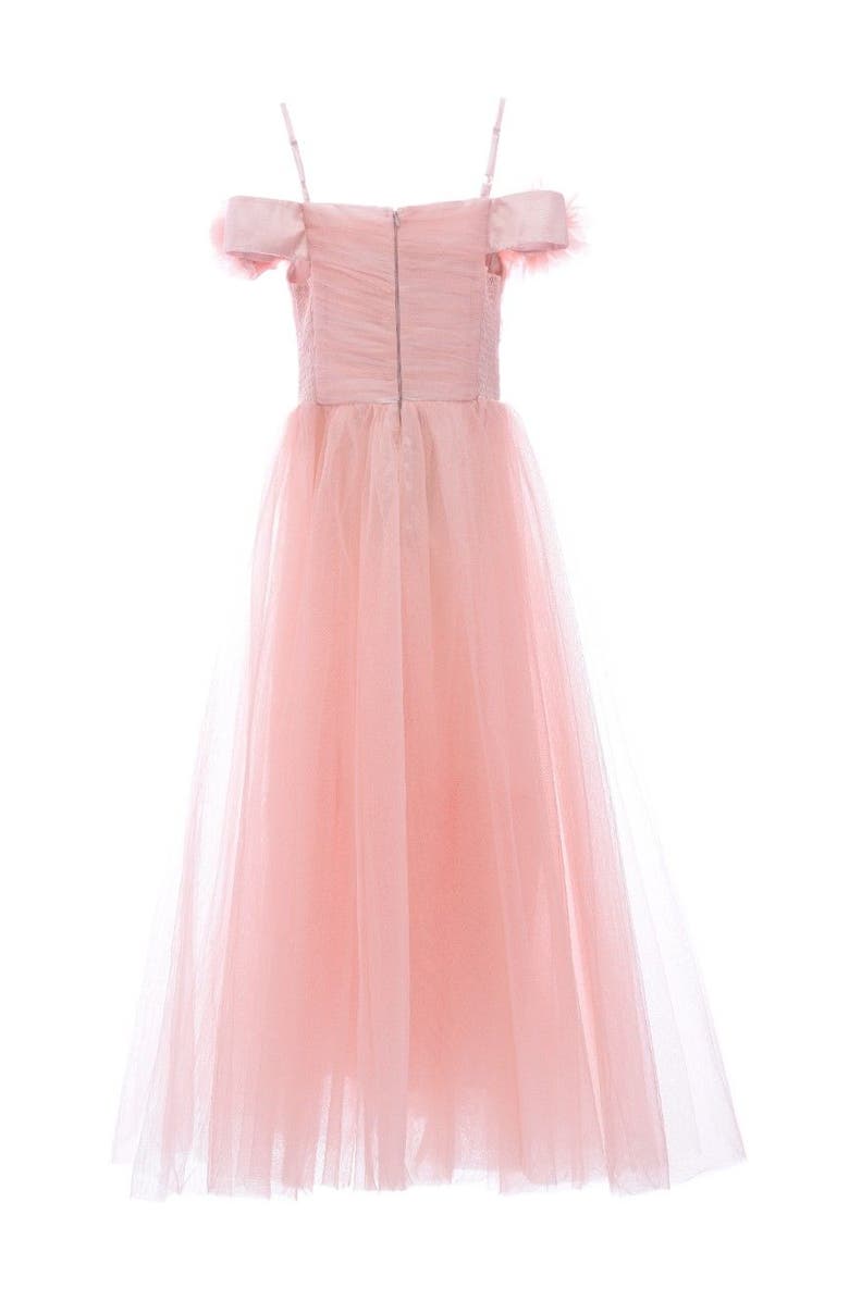 Tulleen Lilo Floral Tulle Gown, Alternate, color, Pink