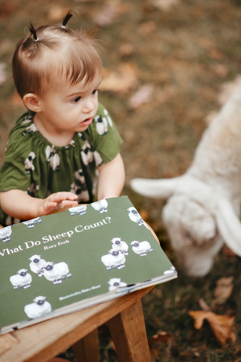 What Do Sheep Count? Book, Alternate, color, Valais Sheep