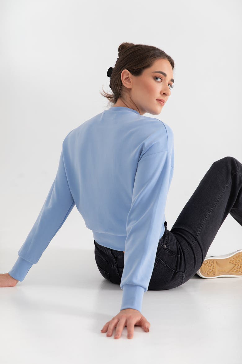 The Cupro Power Pullover Sweatshirt, Alternate, color, SKY