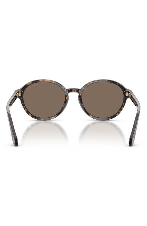 Giorgio Armani Round-frame Sunglasses In Brown