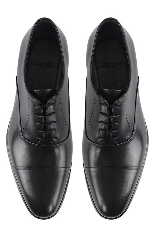 Vellapais Dinero Perforated Oxford In Black