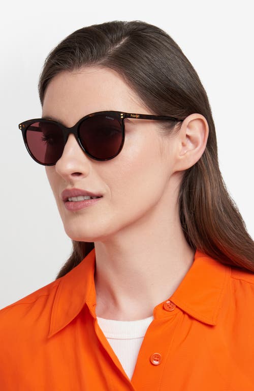 POLAROID POLAROID 55MM POLARIZED CAT EYE SUNGLASSES